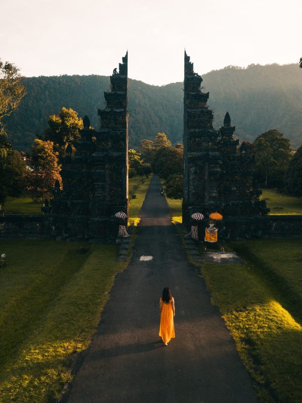 pexels-stijn-dijkstra-2499699